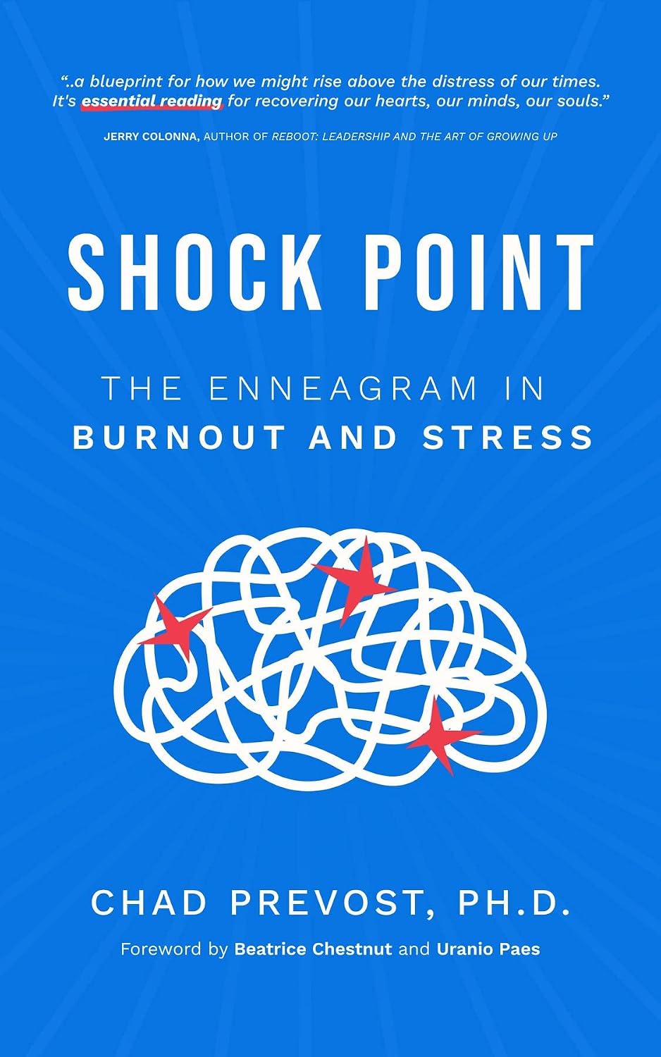 Shock Point: The Enneagram in Burnout and Stress by Chad Prevost